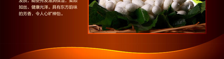 蜂花蚕丝蛋白营养护发素450ml_14